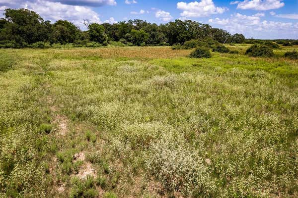 TRACT 2 41.5 ACRES COUNTY ROAD 18, HALLETTSVILLE, TX 77964 - Image 1