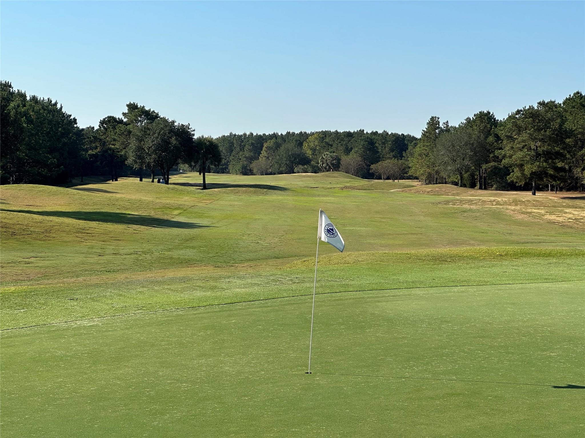 Montgomery, Texas, 77316, United States, 5 Bedrooms Bedrooms, ,7 BathroomsBathrooms,Residential,Active,1965996