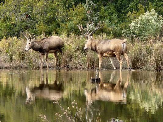 LOT 43 FALLOW RUN, LARUE, TX 75770, photo 3 of 17