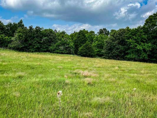 5.6 ACRES HIGHWAY 19, TRINITY, TX 75862, photo 2 of 9