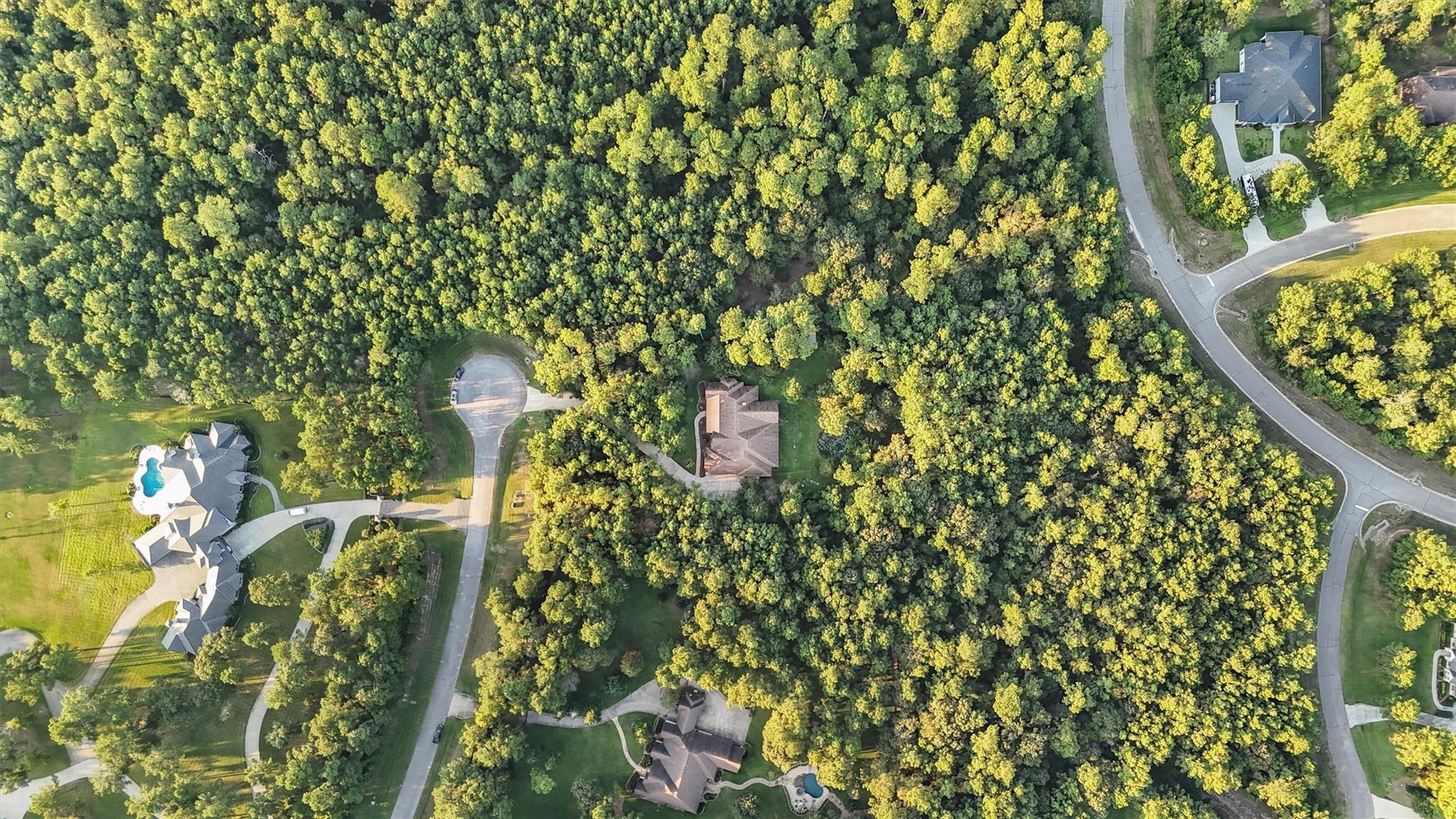 Montgomery, Texas, 77316, United States, 4 Bedrooms Bedrooms, ,3 BathroomsBathrooms,Residential,Active,1953985