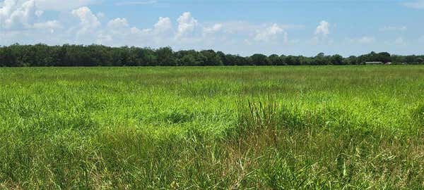 0 WHITETAIL XING CROSSING, NEEDVILLE, TX 77461 - Image 1