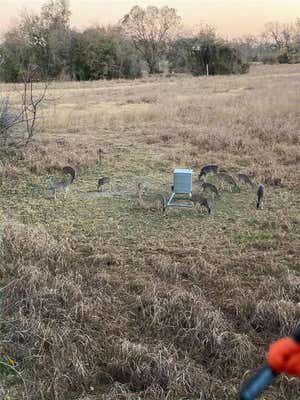 8477 FM 2780 RD, BURTON, TX 77835, photo 3 of 6