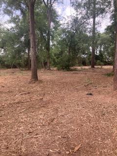 Tomball, Texas, 77375, United States, 4 Bedrooms Bedrooms, ,3 BathroomsBathrooms,Residential,Active,1820831