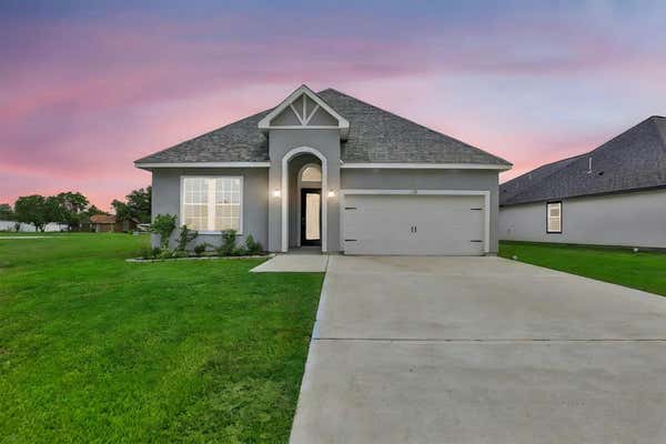 135 DEEP WOODS LN, LIVINGSTON, TX 77351 - Image 1