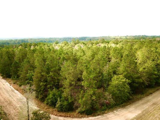 TBD COUNTY ROAD 2310, WOODVILLE, TX 75979 - Image 1