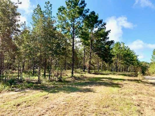 TBD 38.3+/- AC CR 2310, WOODVILLE, TX 75979 - Image 1