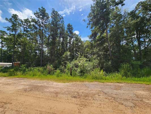 1 HOLLYBROOK DR, PLANTERSVILLE, TX 77363 - Image 1