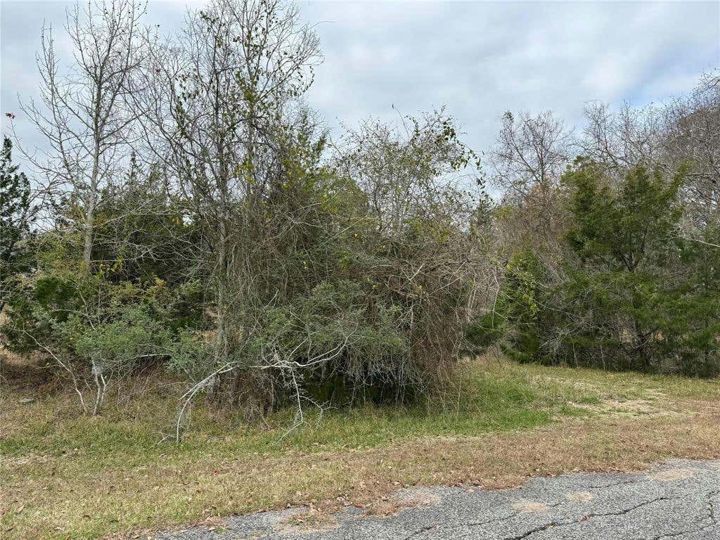 LOT 101 ELM COVE CIRCLE, COLDSPRING, TX 77331, photo 1 of 14