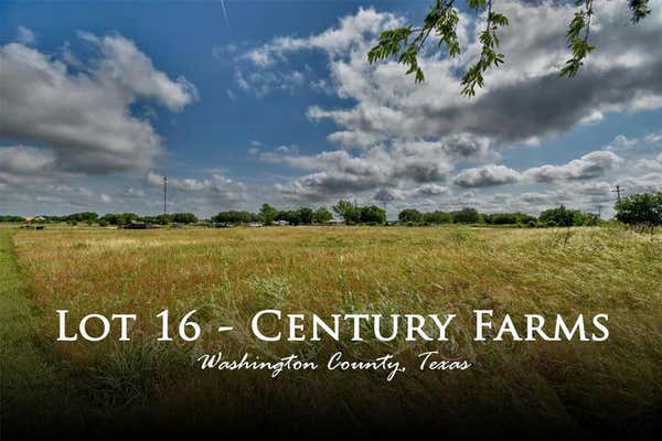 3944 WONDER HILL RD, CHAPPELL HILL, TX 77426 - Image 1