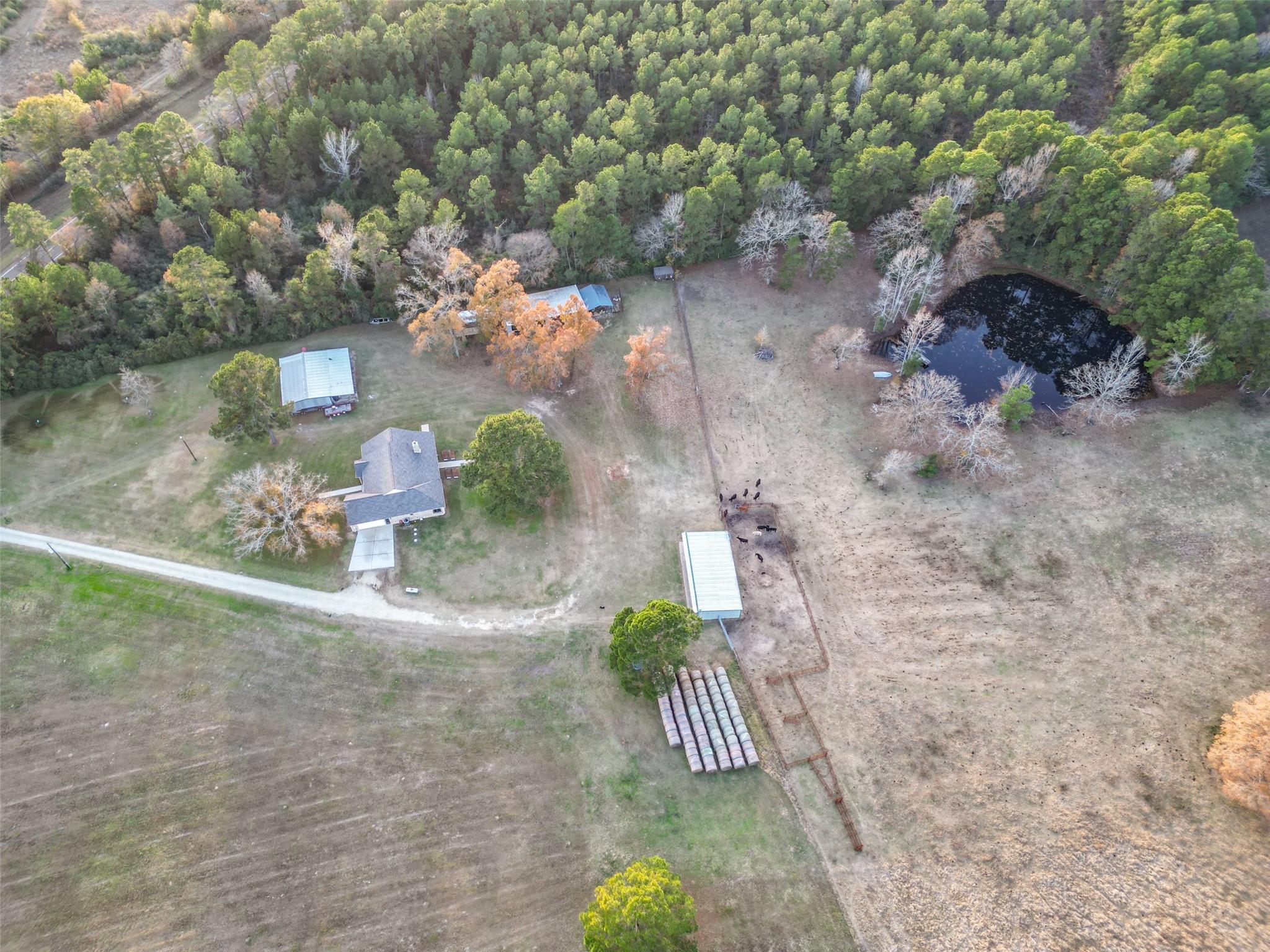 Trinity, Texas, 75862, United States, 3 Bedrooms Bedrooms, ,3 BathroomsBathrooms,Residential,Active,1998594