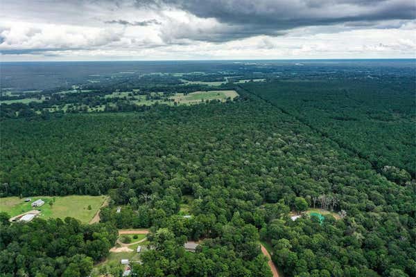 90.3 ACRES SQUIRREL TREE RD, SHEPHERD, TX 77371 - Image 1