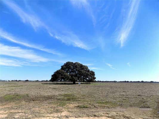 0 PINTAIL LANE, COLUMBUS, TX 78934 - Image 1