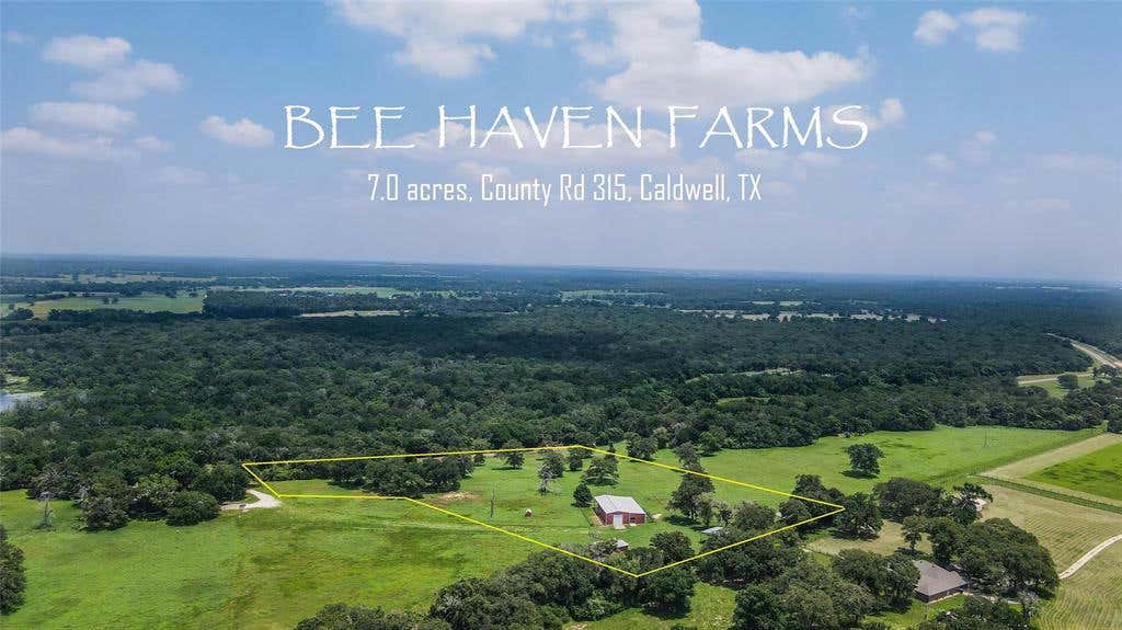 TBD COUNTY ROAD 315 -7 ACRES, CALDWELL, TX 77836, photo 1 of 11