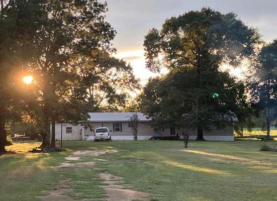 1599 COUNTY ROAD 3111, BUNA, TX 77612 - Image 1