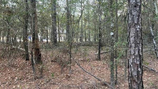 0 STAGECOACH CIRCLE, HUNTSVILLE, TX 77340 - Image 1