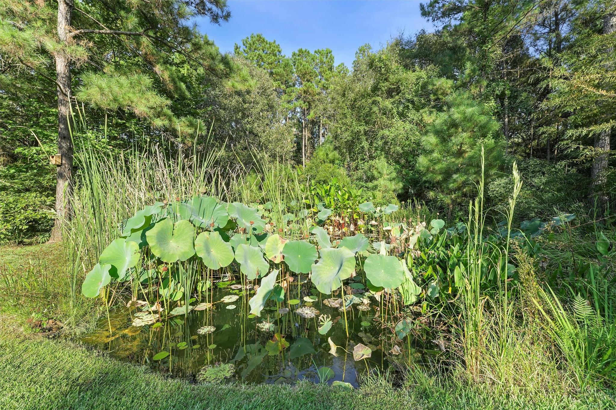 Montgomery, Texas, 77316, United States, 4 Bedrooms Bedrooms, ,3 BathroomsBathrooms,Residential,Active,1953985