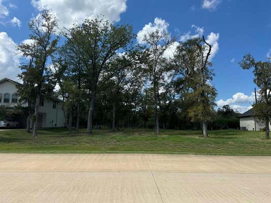 818 ROYAL LAKES MANOR BLVD, RICHMOND, TX 77469 - Image 1