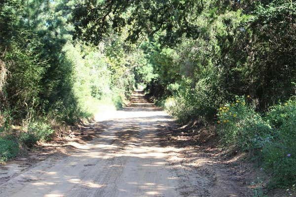 000 COUNTY ROAD 2345, GRAPELAND, TX 75844, photo 2 of 25