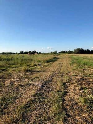 3046 COUNTY ROAD 356, LOUISE, TX 77455 - Image 1