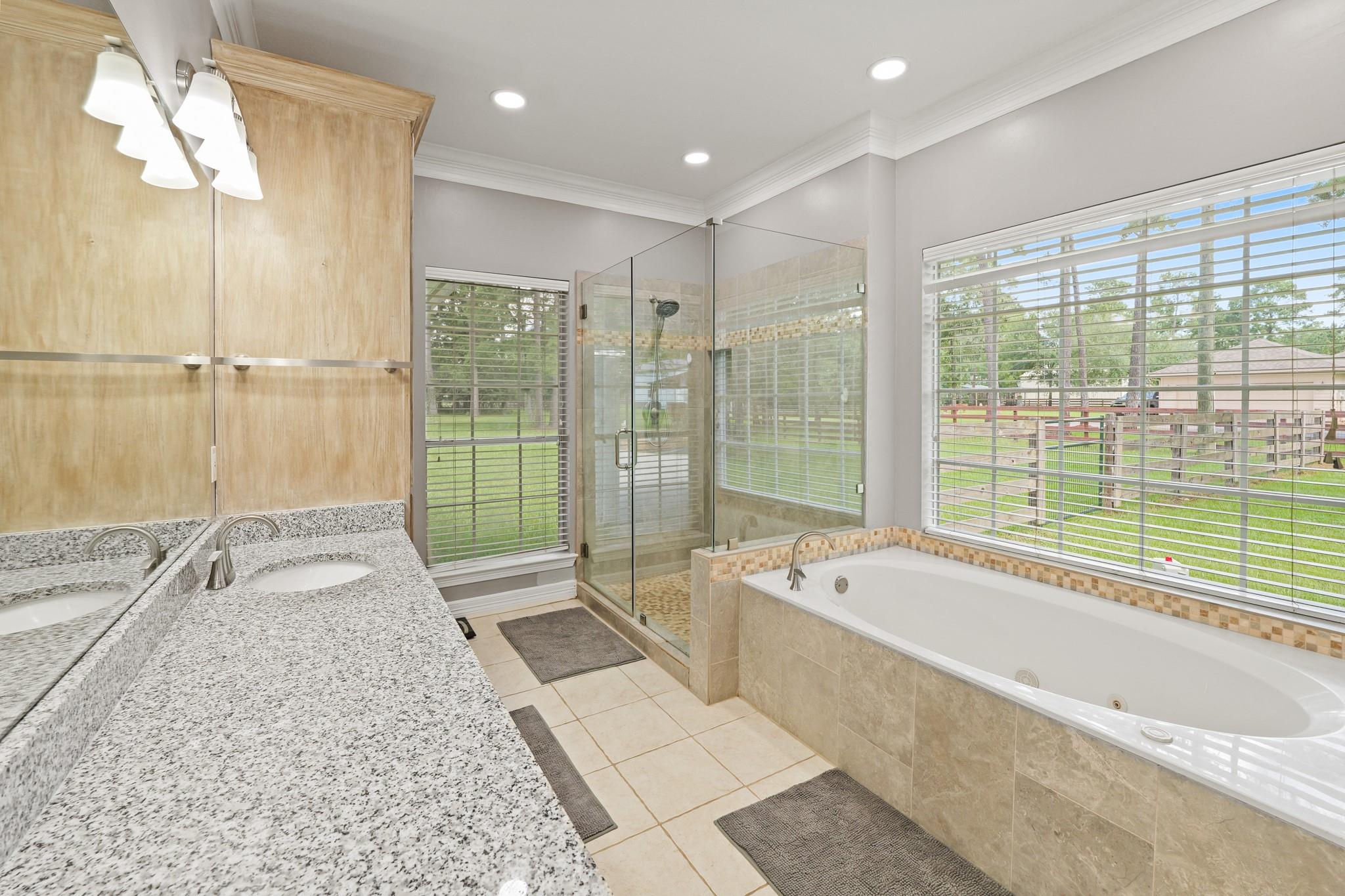 Magnolia, Texas, 77355, United States, 4 Bedrooms Bedrooms, ,5 BathroomsBathrooms,Residential,Active,1871832