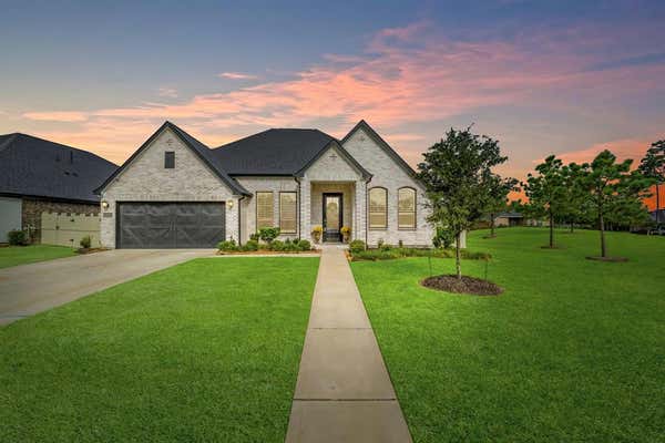 10095 PRESERVE WAY, CONROE, TX 77385 - Image 1