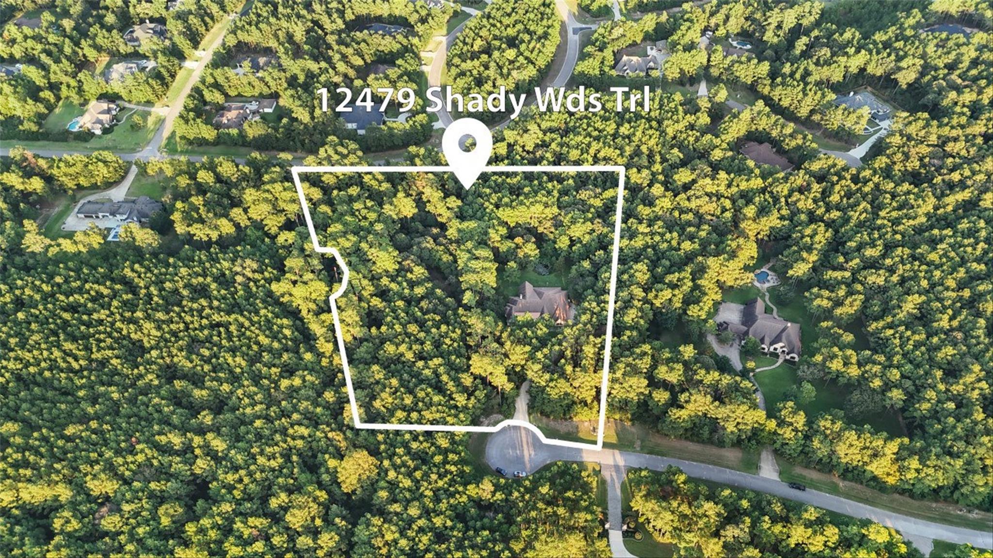 Montgomery, Texas, 77316, United States, 4 Bedrooms Bedrooms, ,3 BathroomsBathrooms,Residential,Active,1953985