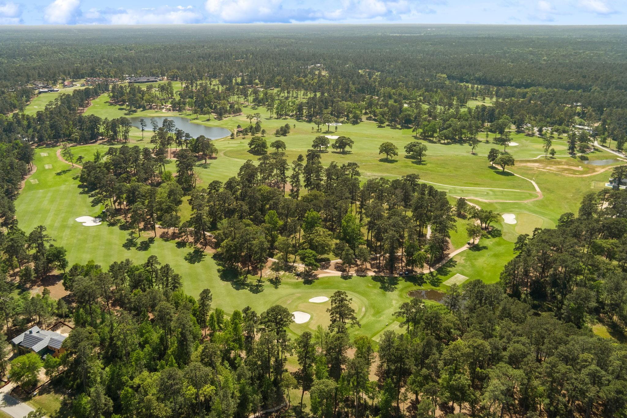 Montgomery, Texas, 77316, United States, 4 Bedrooms Bedrooms, ,4 BathroomsBathrooms,Residential,Active,1769891