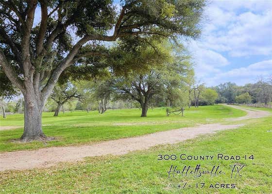 300 COUNTY ROAD 14, HALLETTSVILLE, TX 77964 - Image 1