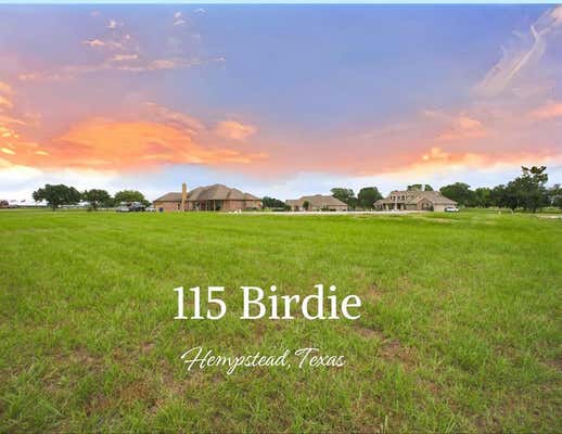 115 BIRDIE DR, HEMPSTEAD, TX 77445 - Image 1