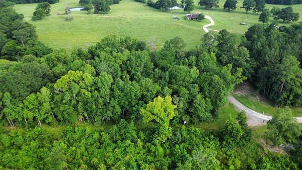 TBD STATE HIGHWAY LOOP 116, LIVINGSTON, TX 77351, photo 4 of 7