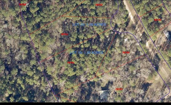 TBD LOT 19 TALL TIMBERS LANE, COLDSPRING, TX 77331 - Image 1