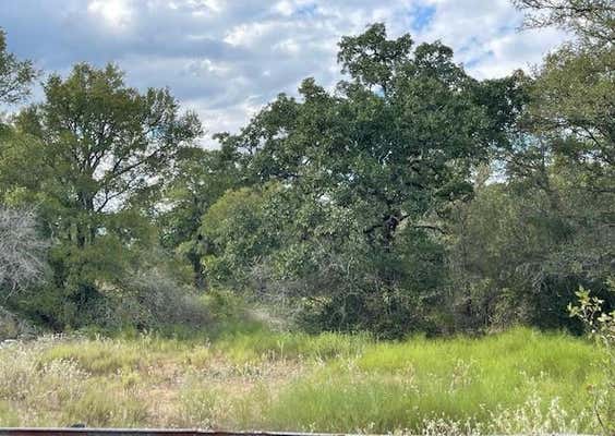 TBD CR 230/231, LYONS, TX 77863 - Image 1