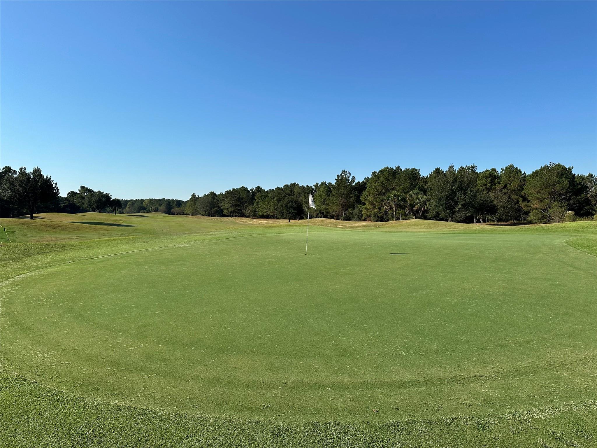 Montgomery, Texas, 77316, United States, 5 Bedrooms Bedrooms, ,7 BathroomsBathrooms,Residential,Active,1965996