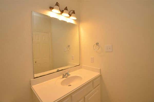 13407 SCHUMANN TRL, SUGAR LAND, TX 77498, photo 5 of 43