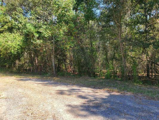 TBD ROMAN FOREST BOULEVARD, NEW CANEY, TX 77357 - Image 1