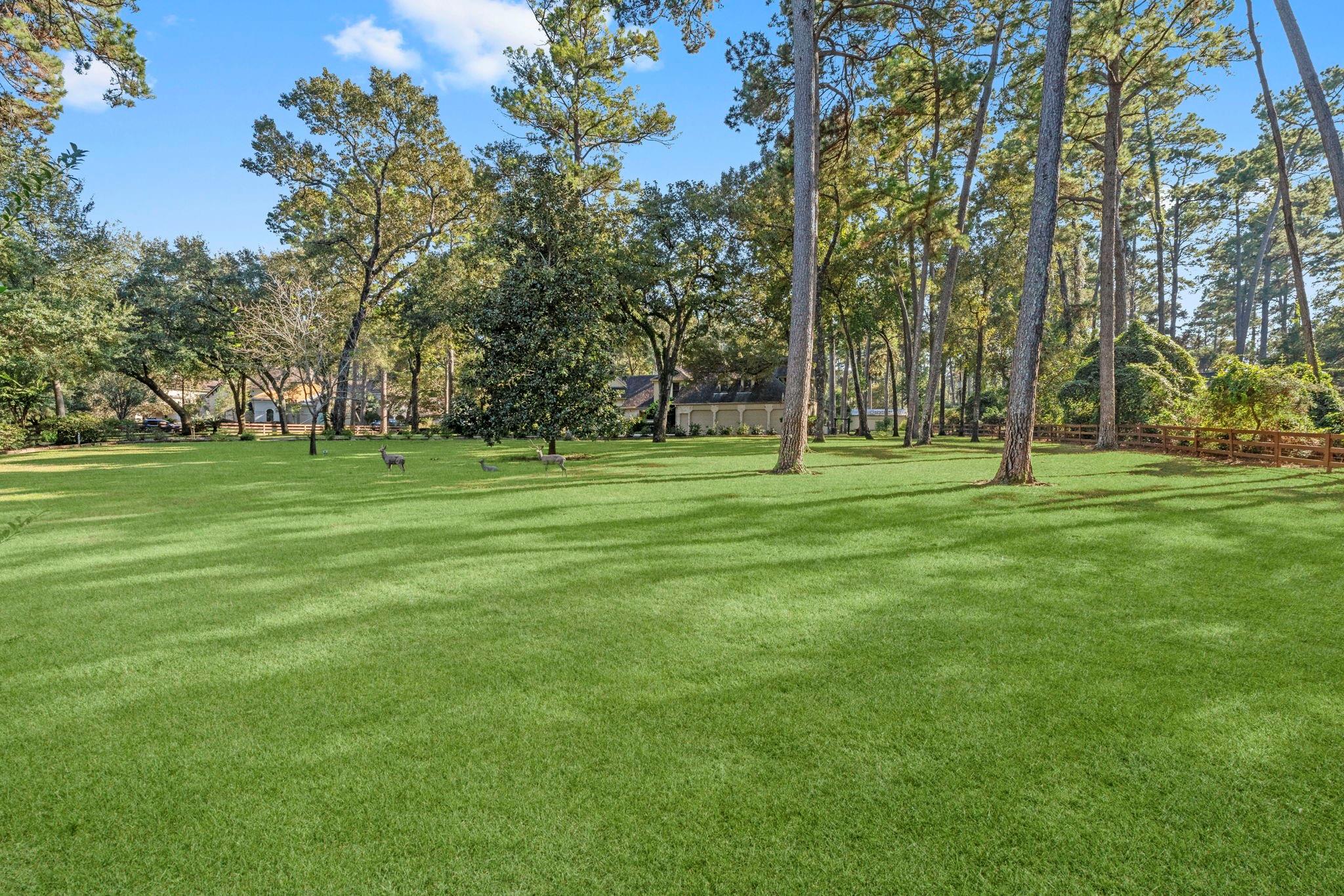 Tomball, Texas, 77377, United States, 5 Bedrooms Bedrooms, ,6 BathroomsBathrooms,Residential,Active,1973328