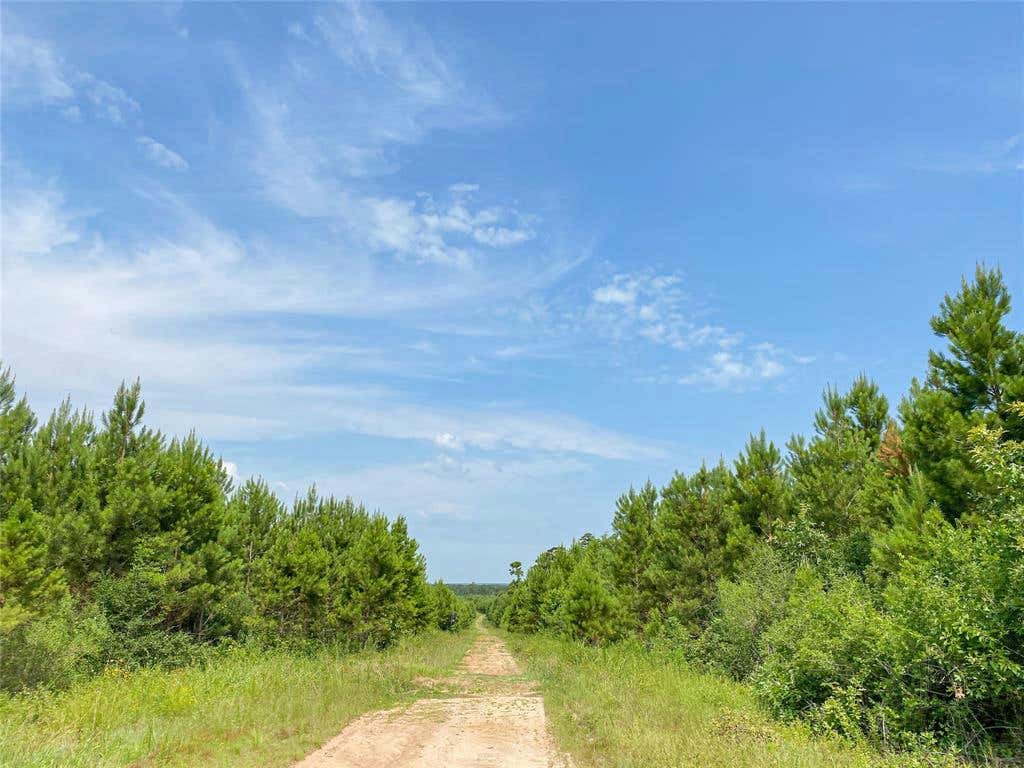 0000000 RED HOLLOW RD, LEGGETT, TX 77350, photo 1 of 23