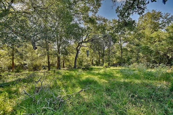 TBD COUNTY ROAD 134, HALLETTSVILLE, TX 77964 - Image 1