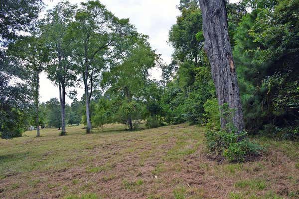 TRACT 2 DEER RIDGE ROAD, BEDIAS, TX 77831 - Image 1