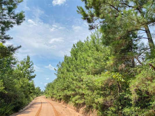 0000000 RED HOLLOW RD, LEGGETT, TX 77350, photo 2 of 23