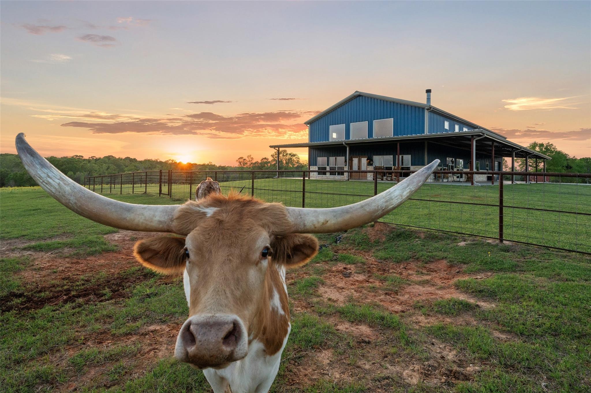 Centerville, Texas, 75833, United States, 6 Bedrooms Bedrooms, ,3 BathroomsBathrooms,Residential,Active,1862877