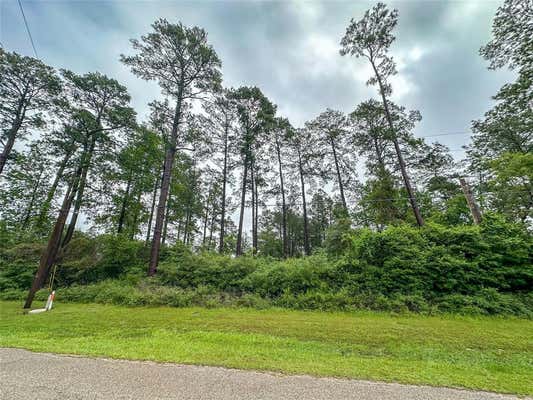 TBD S S CANYON DR DRIVE, ONALASKA, TX 77360 - Image 1