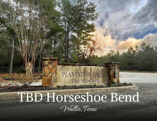 TBD HORSESHOE BEND, WALLER, TX 77484 - Image 1