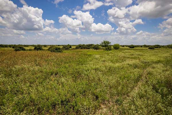 41.5 ACRES COUNTY ROAD 18, HALLETTSVILLE, TX 77964, photo 3 of 19