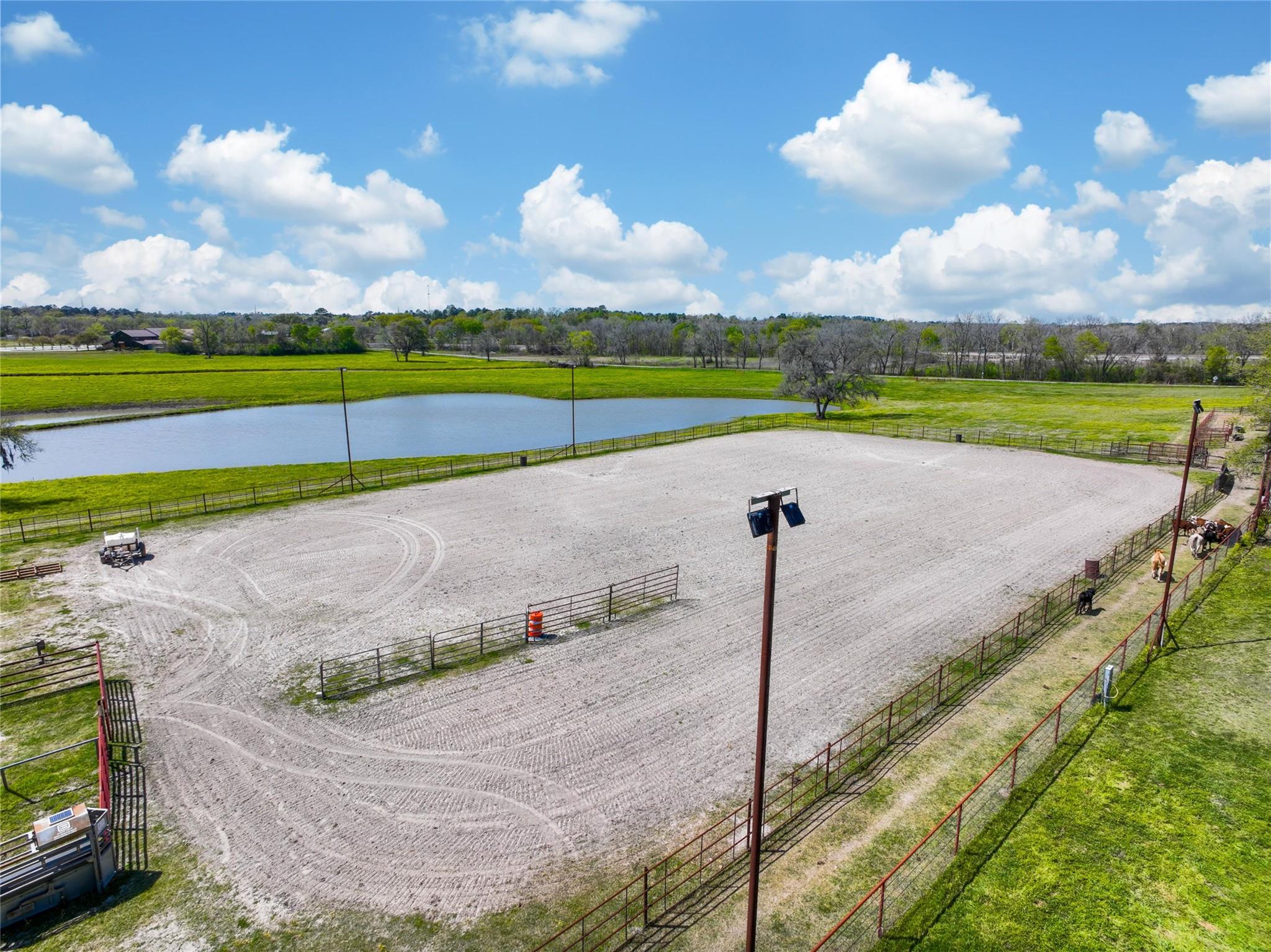 Montgomery, Texas, 77316, United States, 6 Bedrooms Bedrooms, ,6 BathroomsBathrooms,Residential,Active,1907981