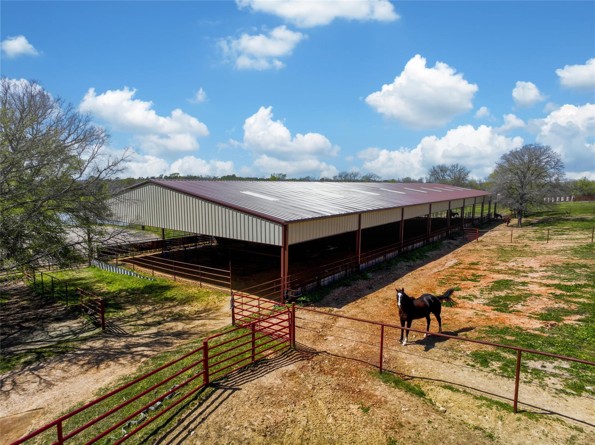 Montgomery, Texas, 77316, United States, 6 Bedrooms Bedrooms, ,6 BathroomsBathrooms,Residential,Active,1907981