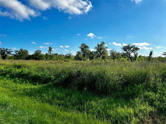 20406 COUNTY ROAD 461, BRAZORIA, TX 77422, photo 2 of 4