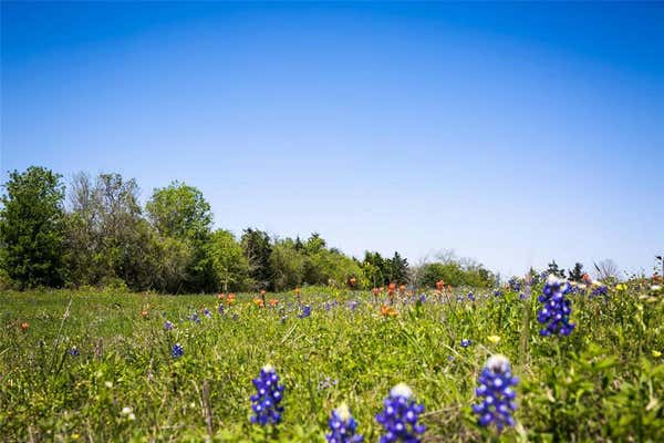 TRACTS 1-3 CANEY CREEK RD, CHAPPELL HILL, TX 77426 - Image 1