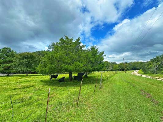 12078 COUNTY ROAD 2481, OAKWOOD, TX 75855 - Image 1